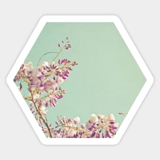 Wisteria Sticker